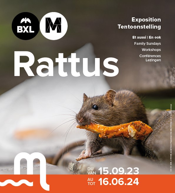Rattus expo, Riolenmuseum_Musée des Égouts
